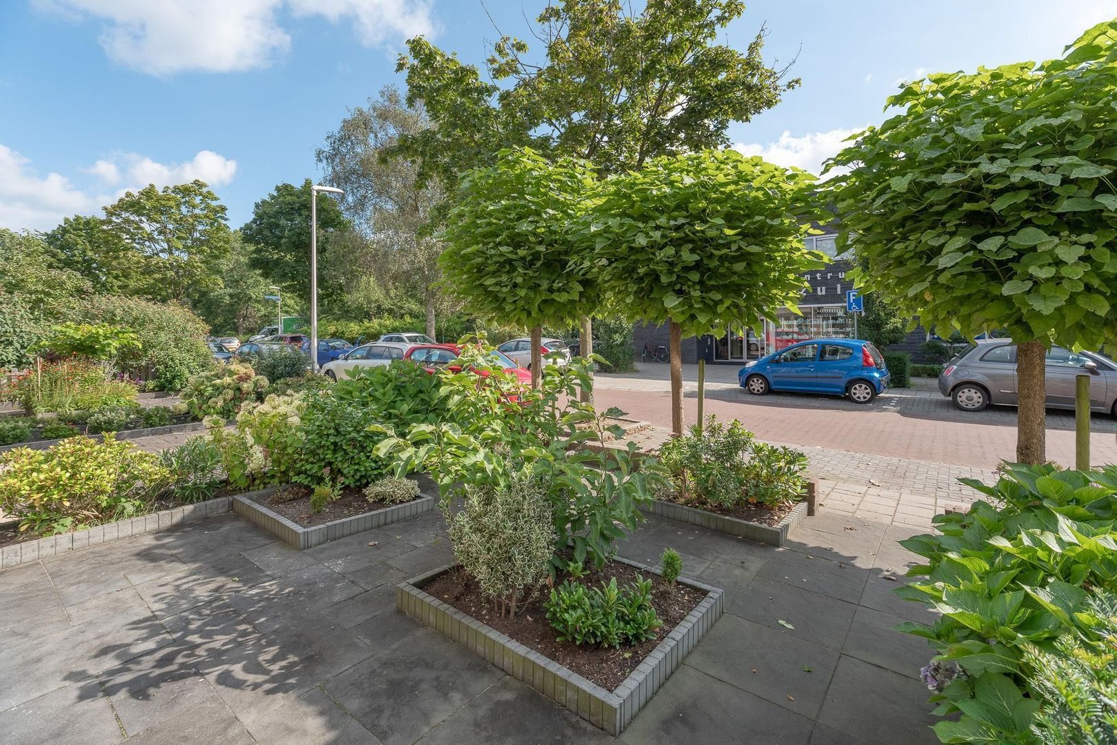 Piet Heinlaan 13, Bussum foto-19 blur