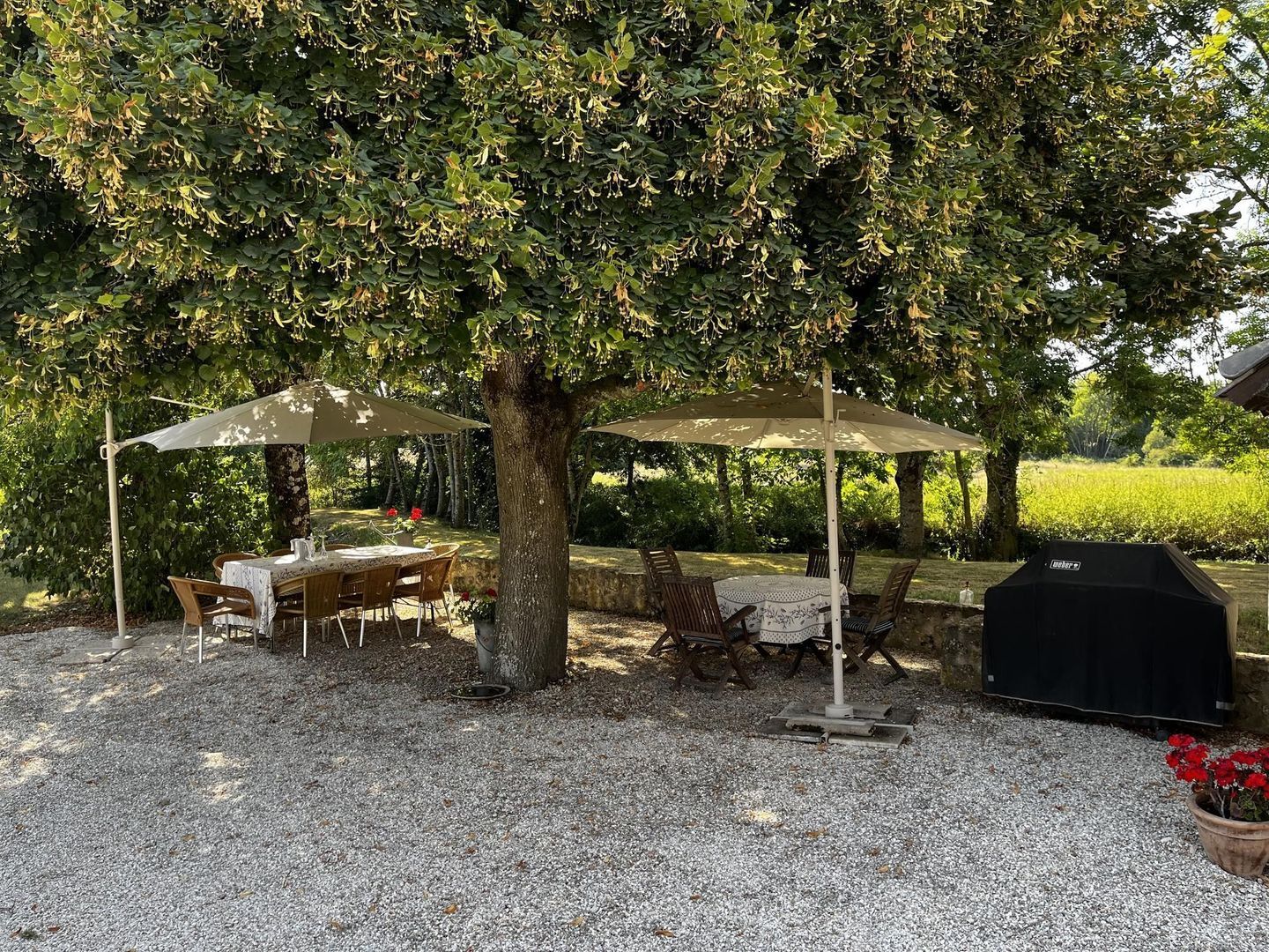 Le Moulin d'Olivet, Orbigny foto-4 blur