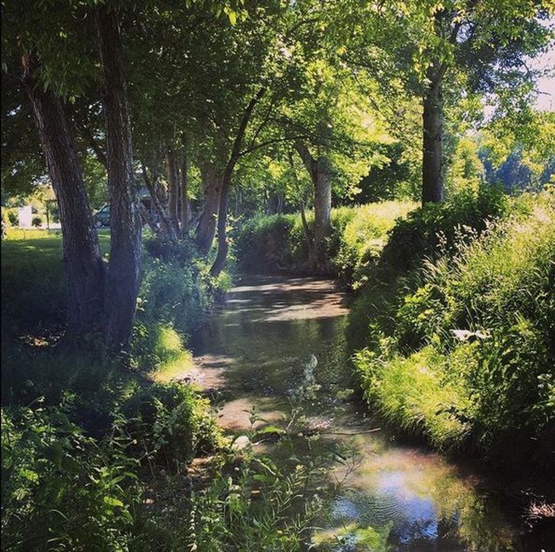 Le Moulin d'Olivet, Orbigny foto-8 blur