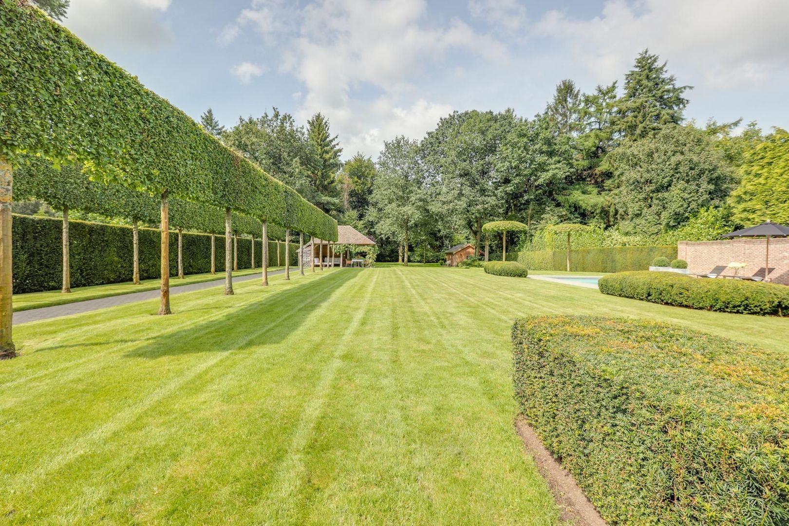 Sweelincklaan 107, Bilthoven foto-37 blur