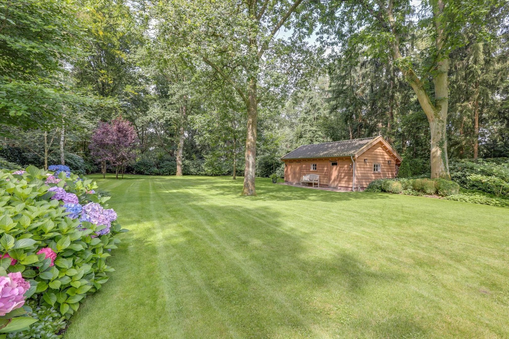 Sweelincklaan 107, Bilthoven foto-36 blur
