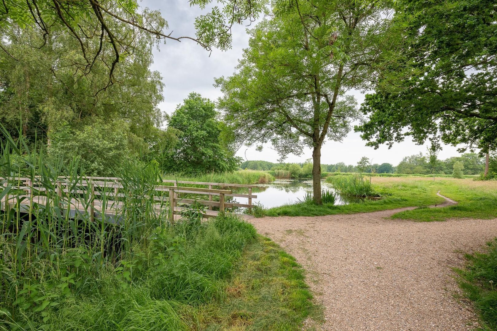 Thesaurier 13, Naarden foto-35 blur