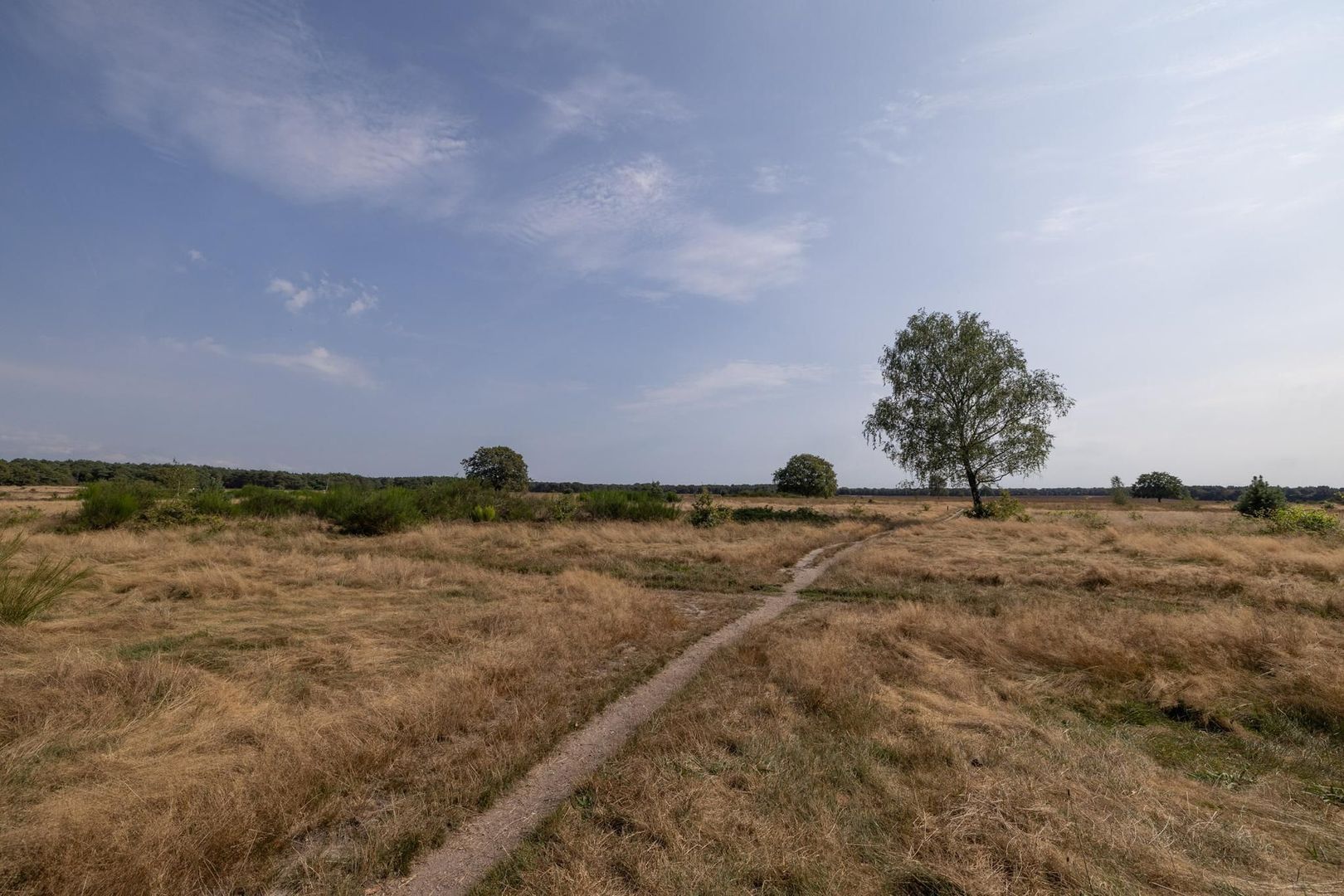 Wielewaallaan 34, Bussum foto-27 blur
