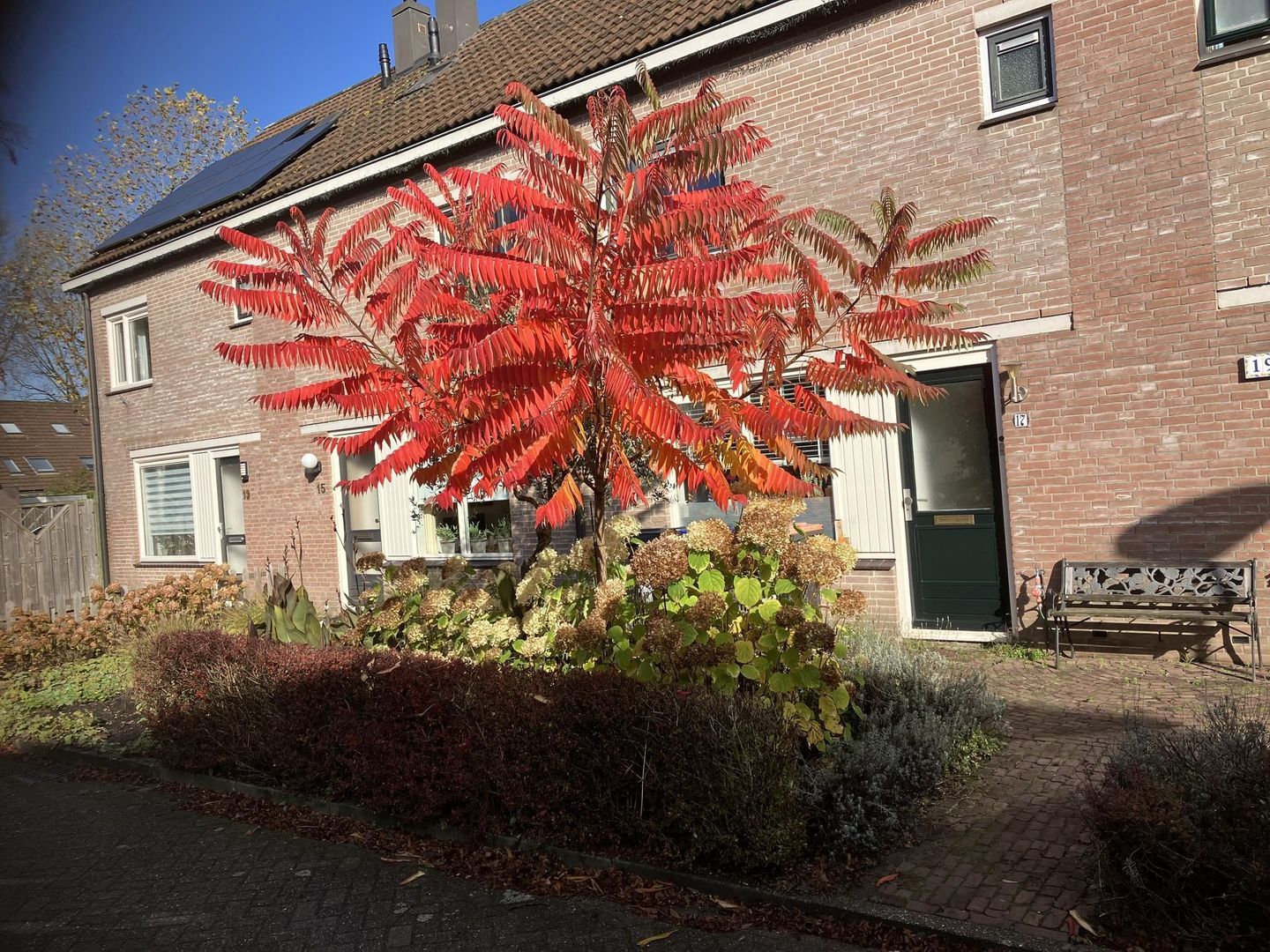 het Fregat 17, Baarn foto-41 blur