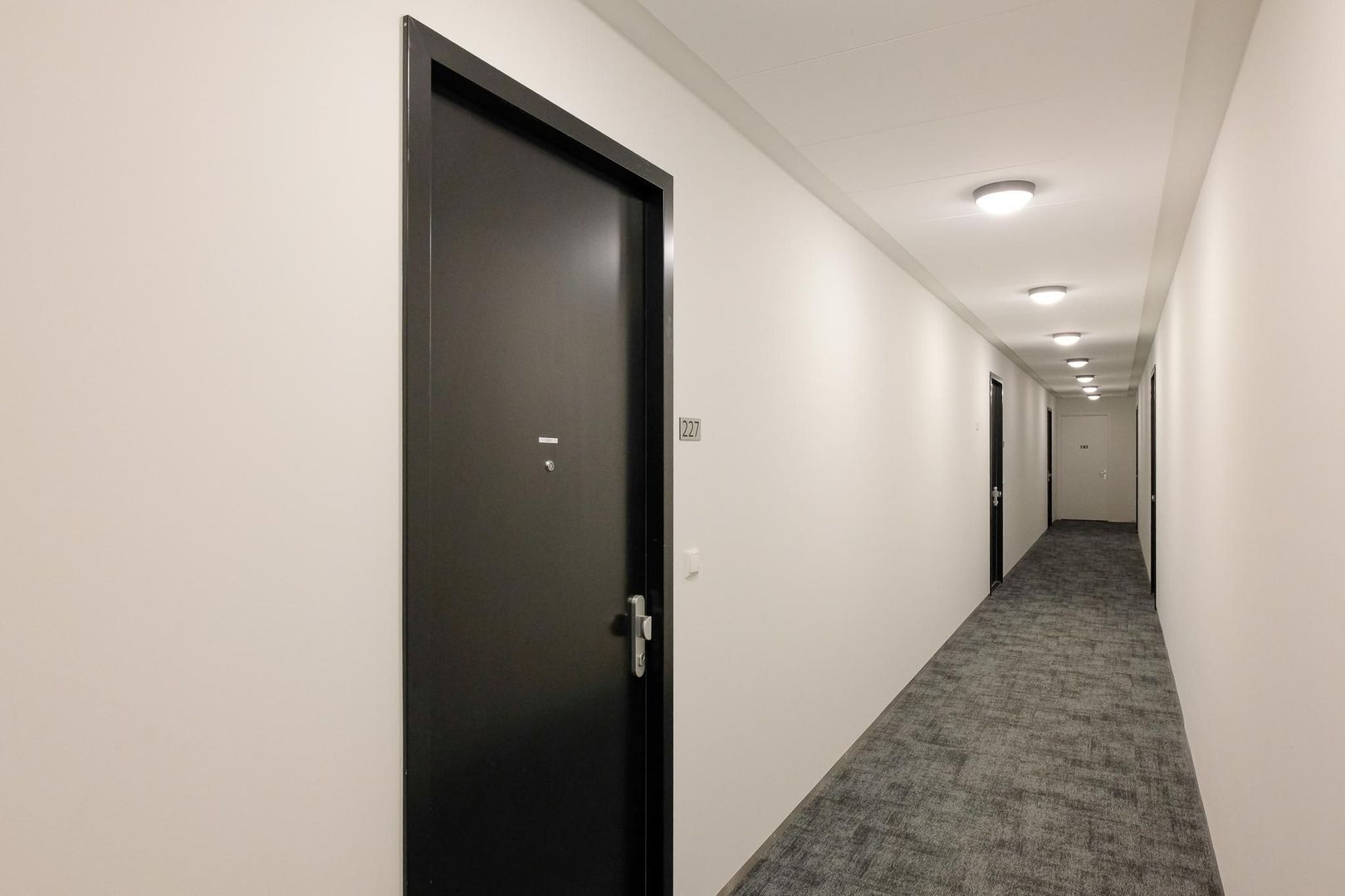 Niemeyerstraat 227, Hoofddorp foto-16 blur