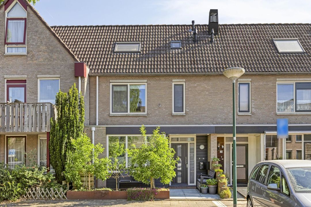 Citer 36, Soest