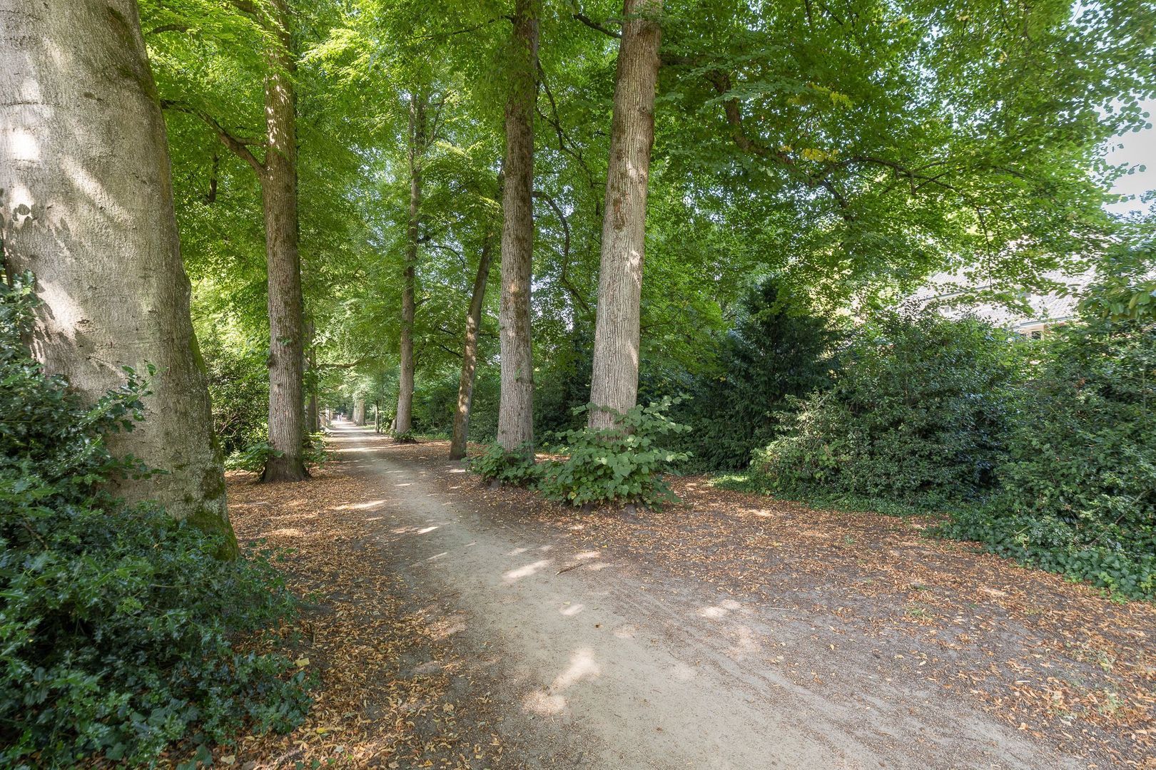 Burgemeester Gulcherlaan 11, Hilversum foto-45 blur