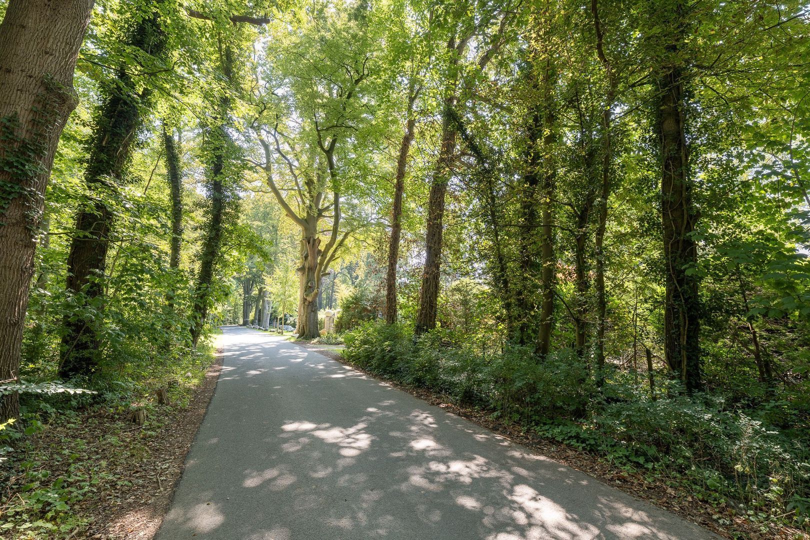 Oude Meentweg 0 ong, Hilversum foto-57 blur