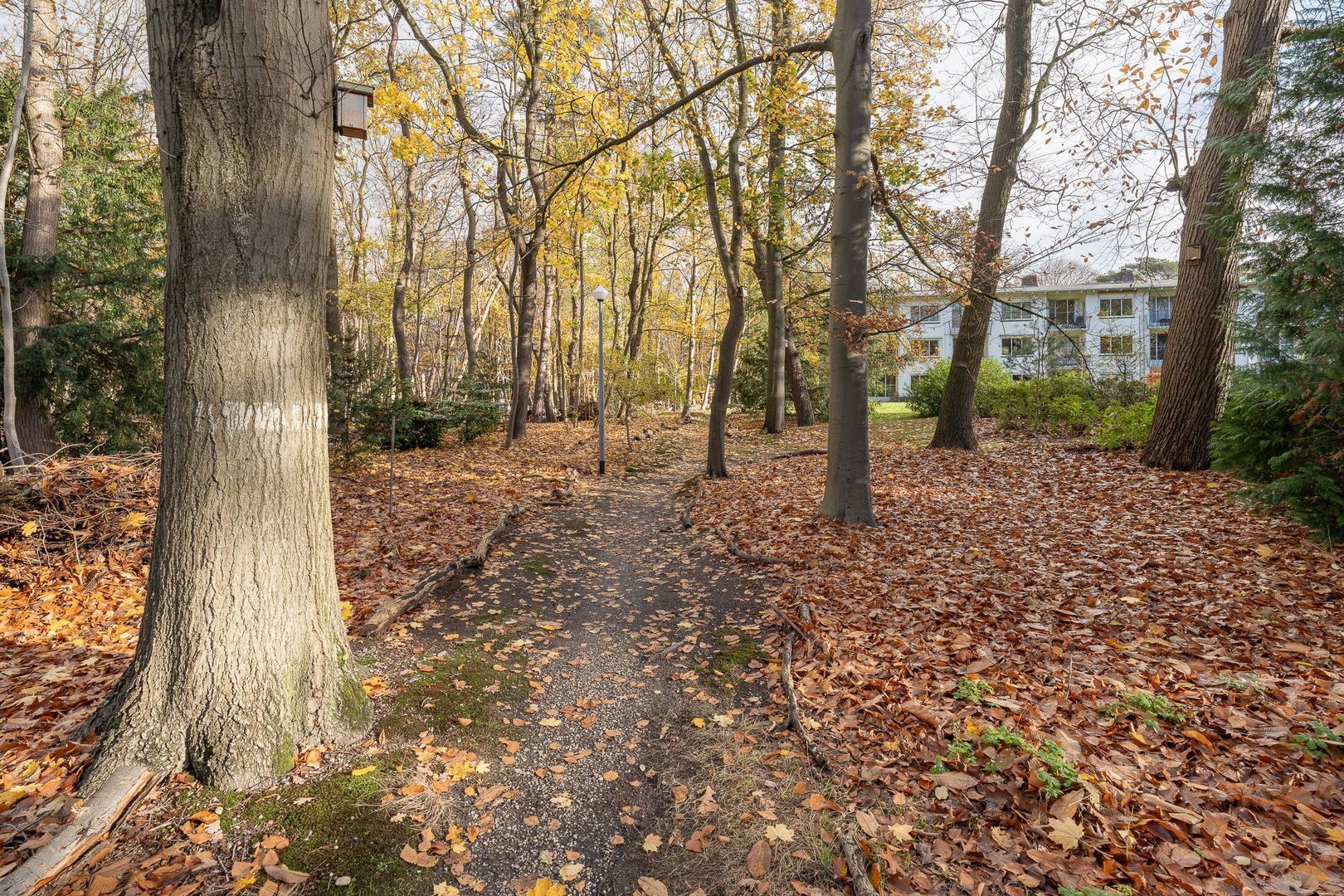 Kroonlaan 50, Hilversum foto-28 blur