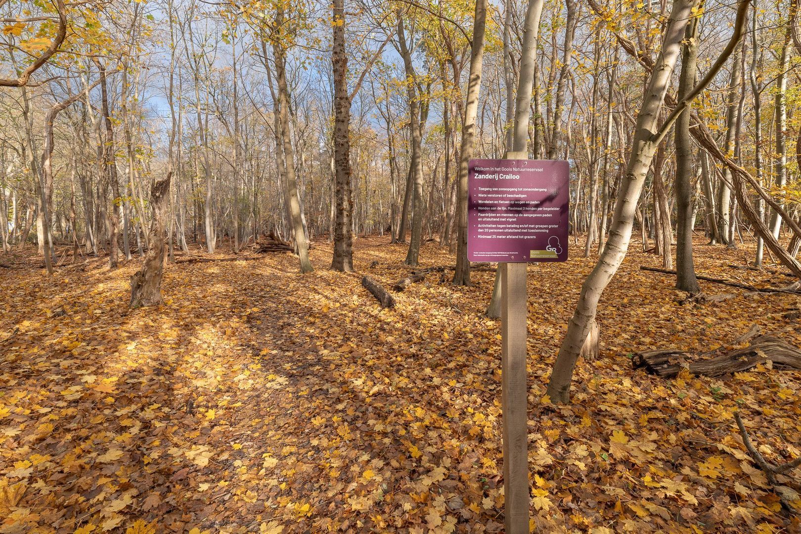 Kroonlaan 50, Hilversum foto-31 blur