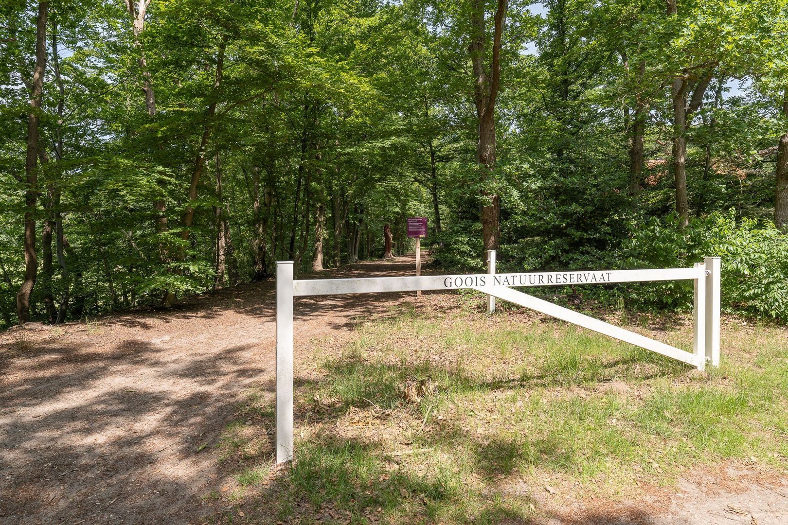 Nimrodlaan 1, Hilversum foto-83 blur