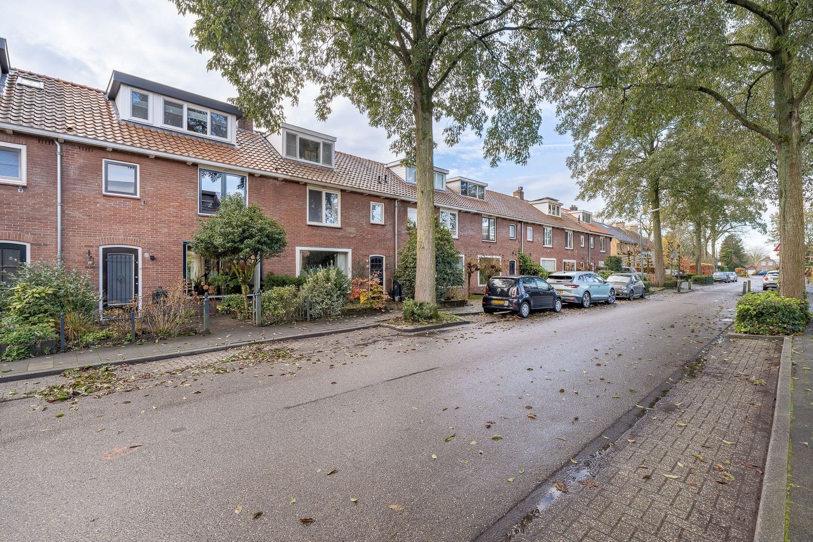 Lindelaan 22, Loosdrecht foto-52 blur