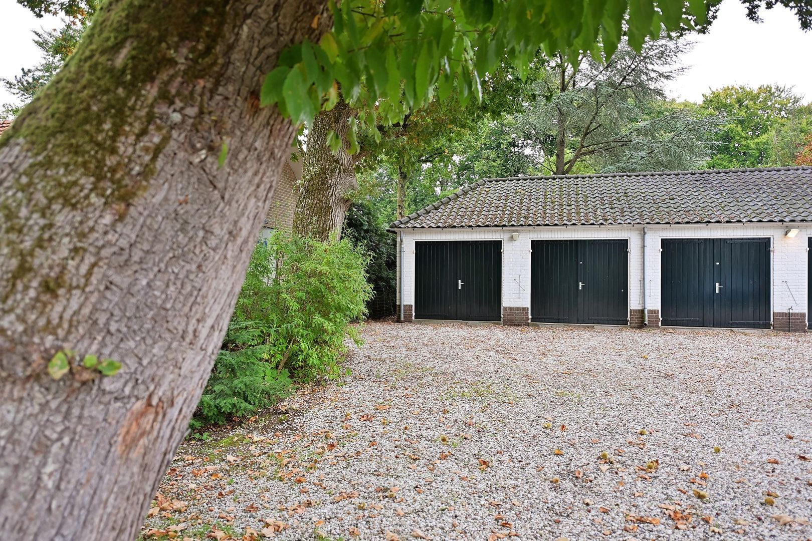 Rossinilaan 26, Hilversum foto-21 blur