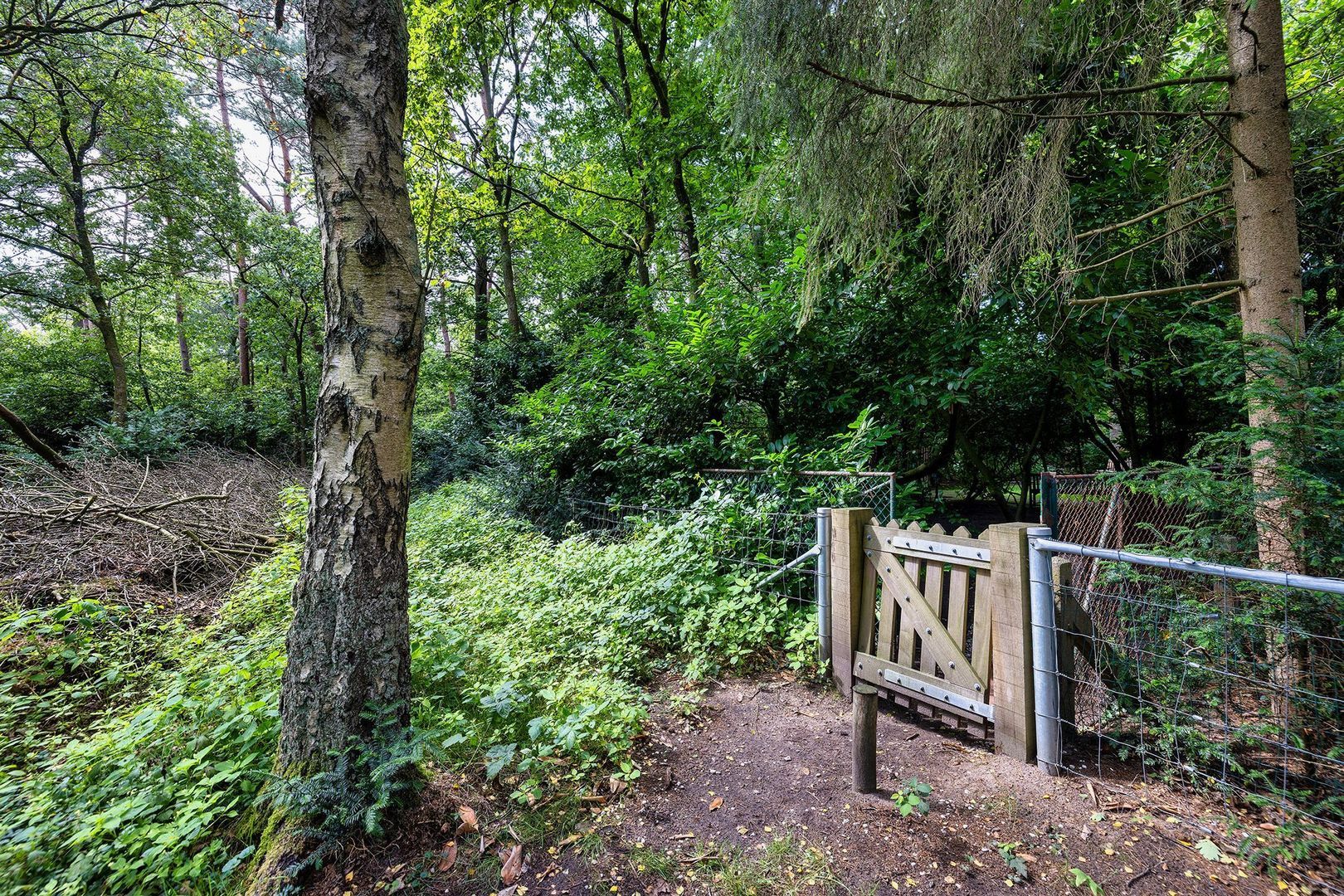 Utrechtseweg 89, Hilversum foto-57 blur