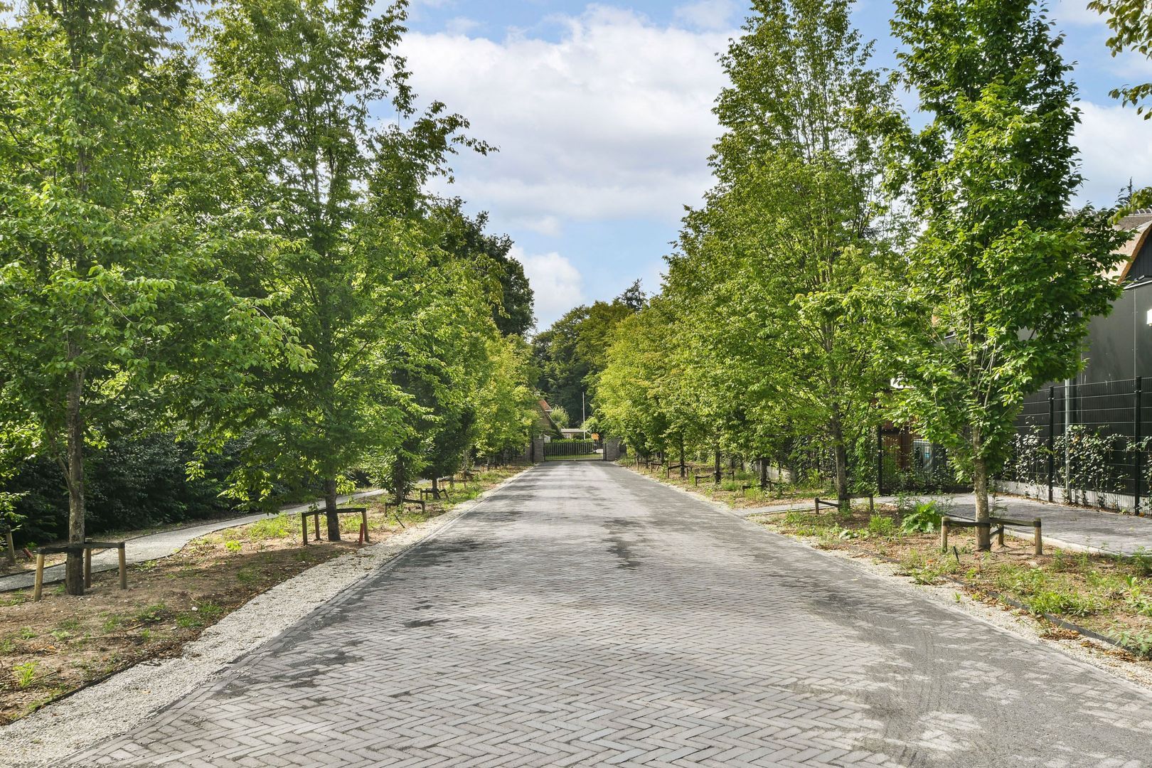 Hoefloo 20 d, Laren foto-28 blur