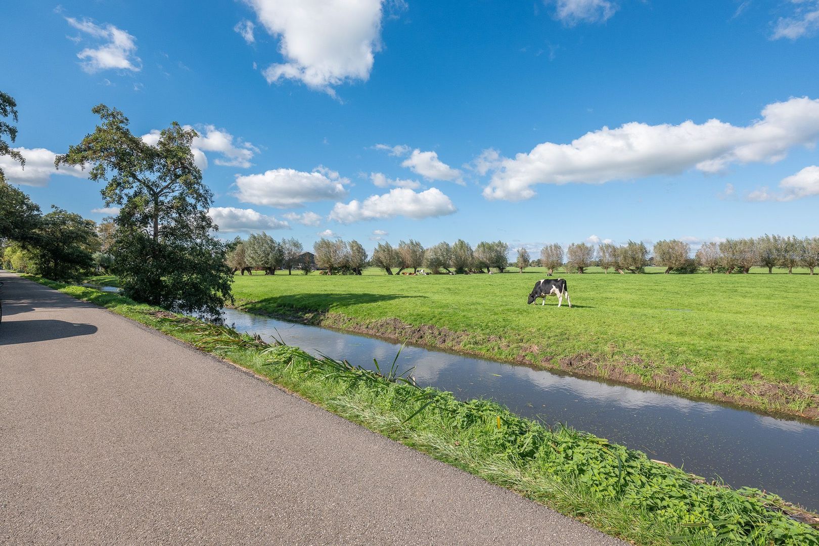 Kleizuwe 5, Vreeland foto-40 blur