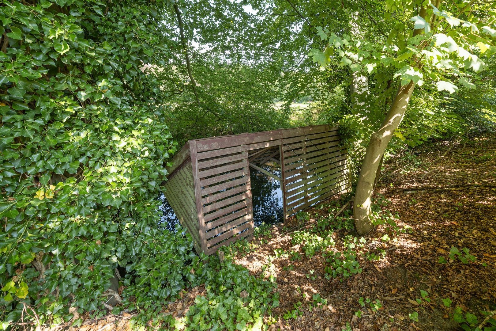 Oude Meentweg 4 a, 's-Graveland foto-46 blur