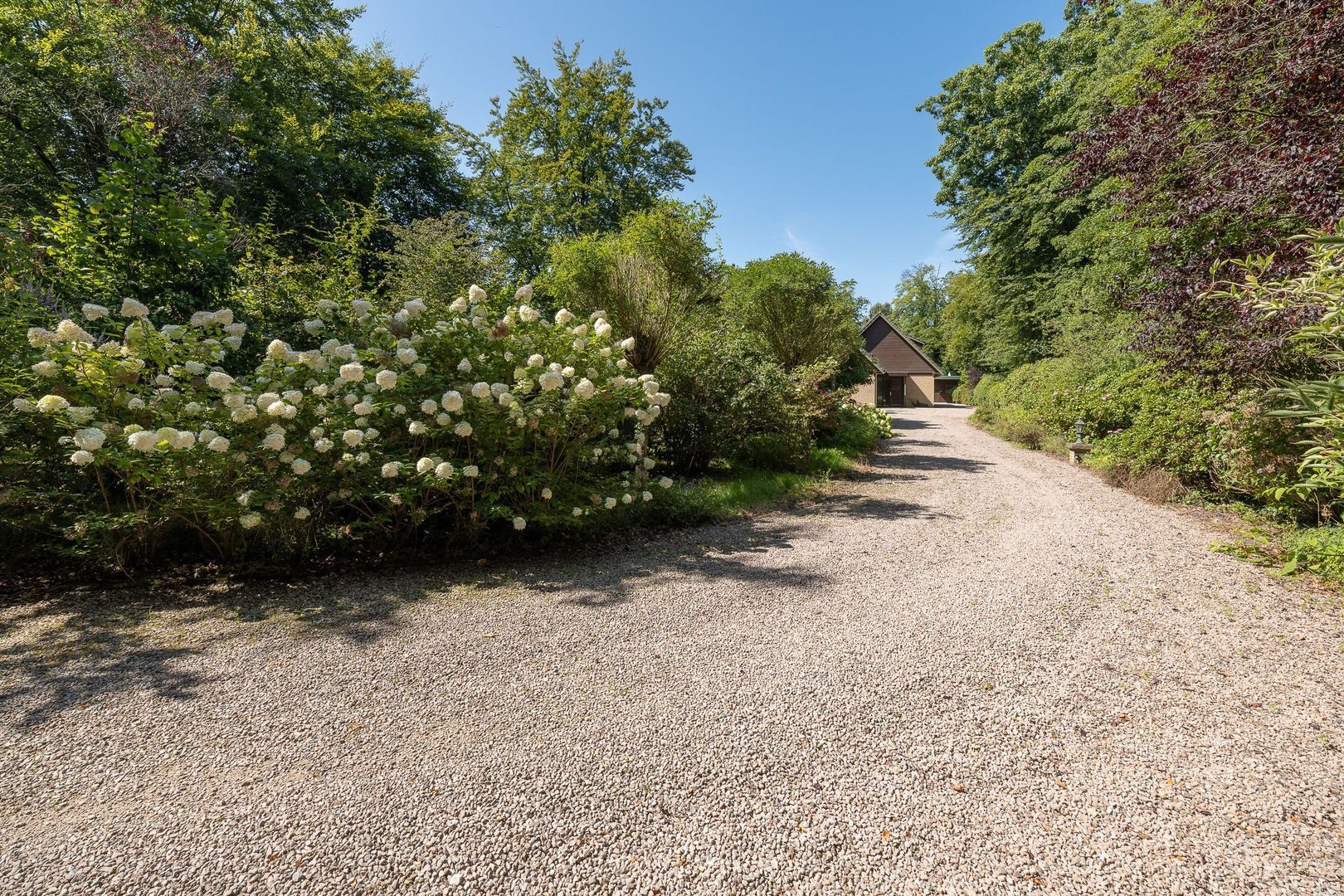 Oude Meentweg 4 a, 's-Graveland foto-3 blur