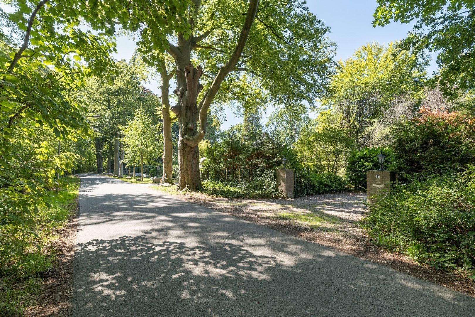 Oude Meentweg 4 a, 's-Graveland foto-1 blur