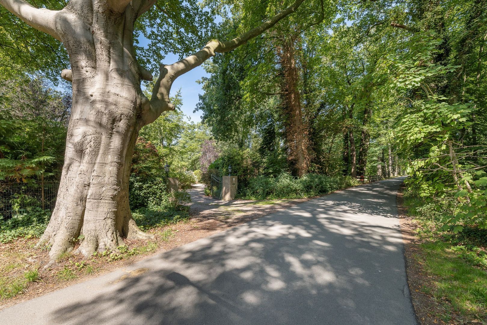 Oude Meentweg 4 a, 's-Graveland foto-56 blur