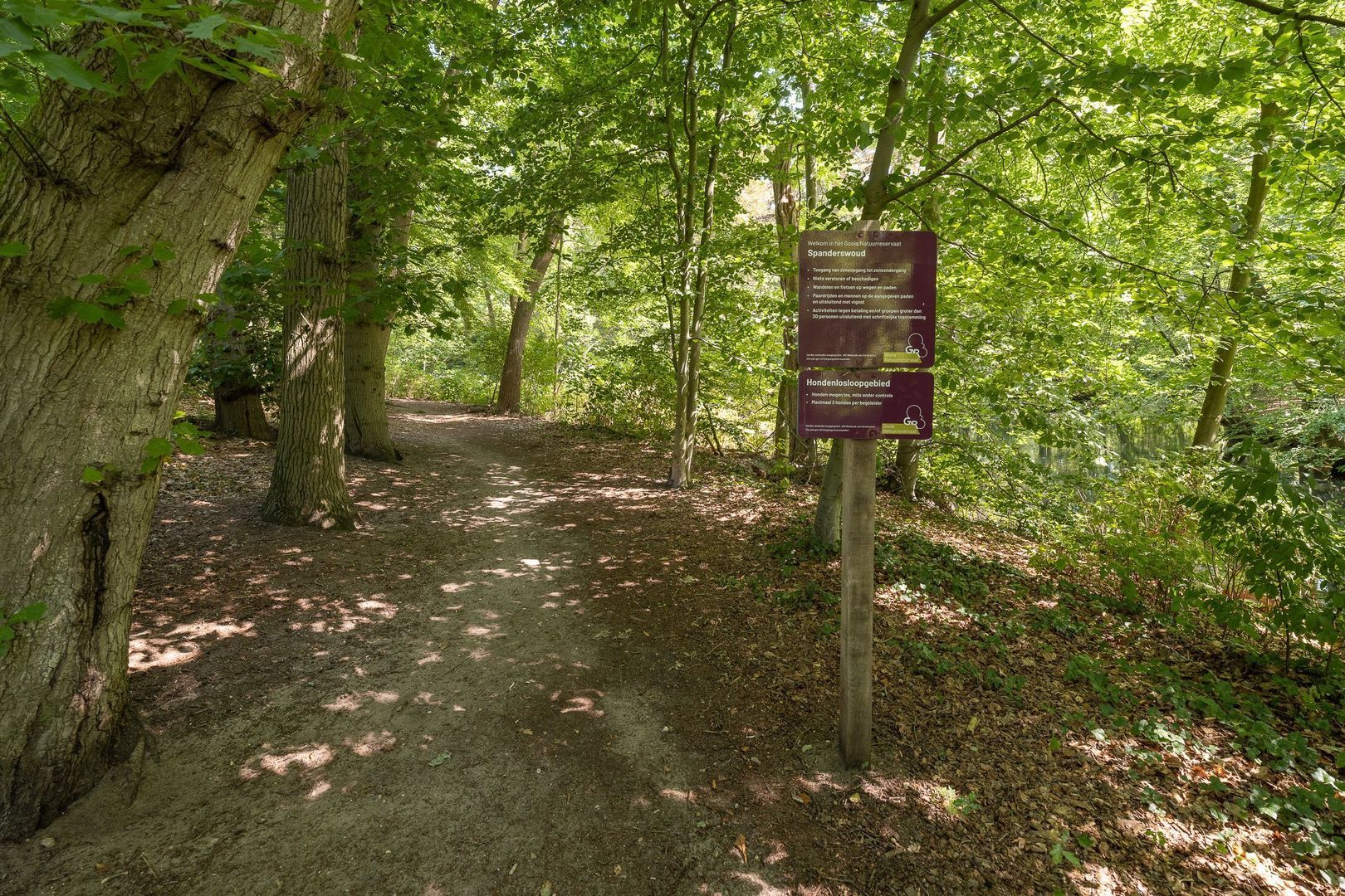 Oude Meentweg 4 a, 's-Graveland foto-59 blur