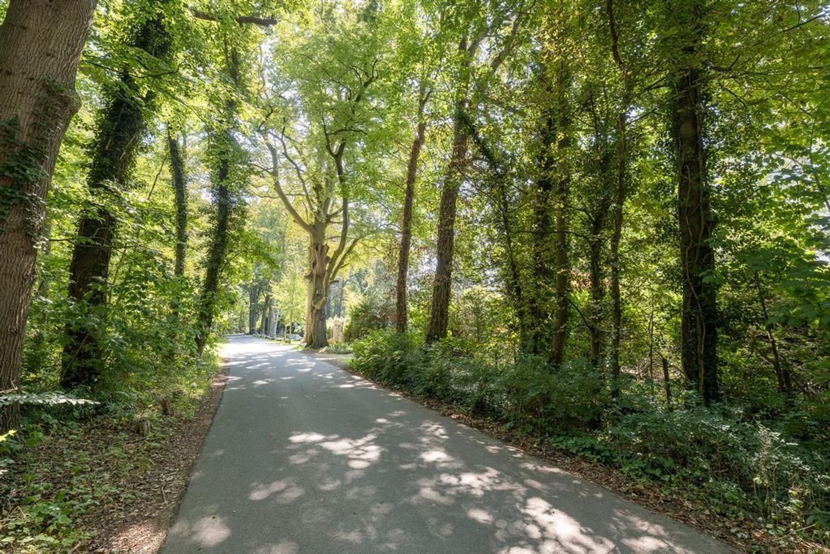 Oude Meentweg 0 ong, Hilversum foto-57 blur
