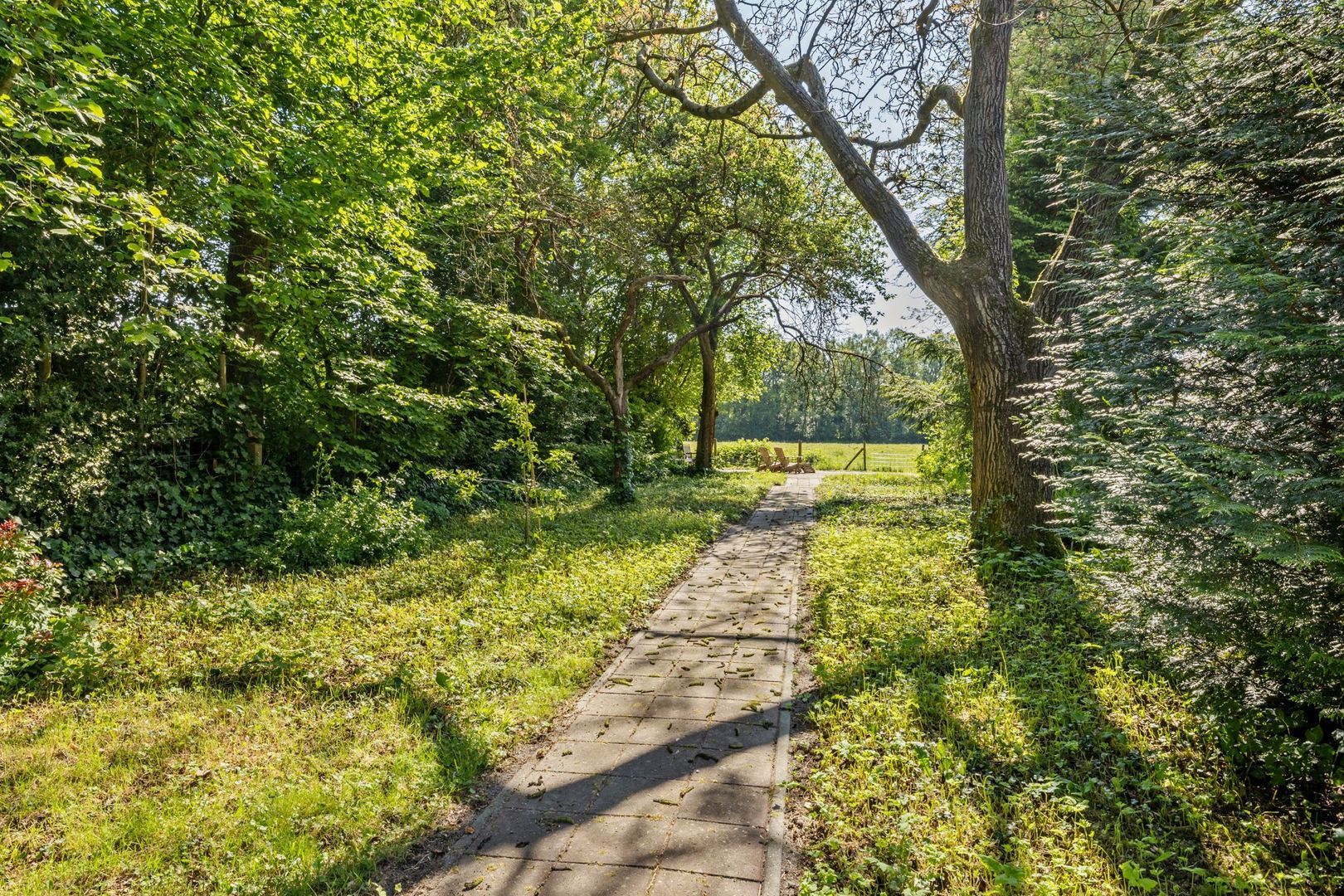 Dennenlaan 31, Hollandsche Rading foto-48 blur