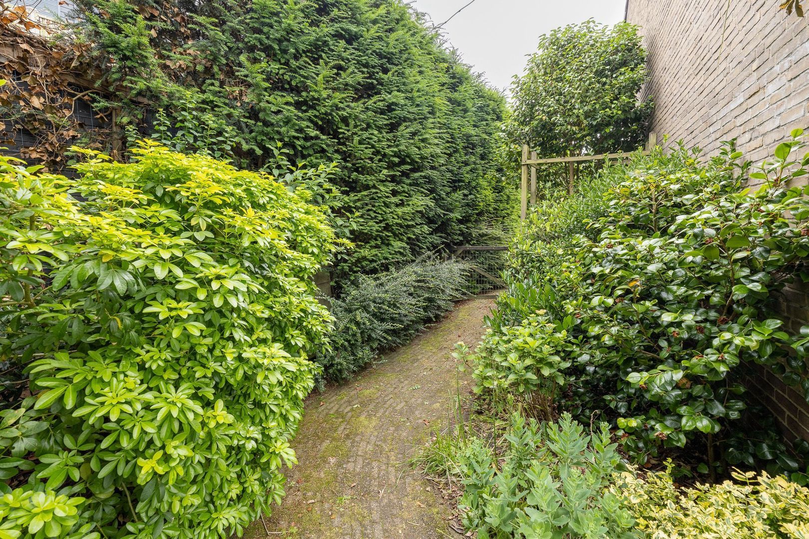 van Limburg Stirumlaan 69, Naarden foto-32 blur