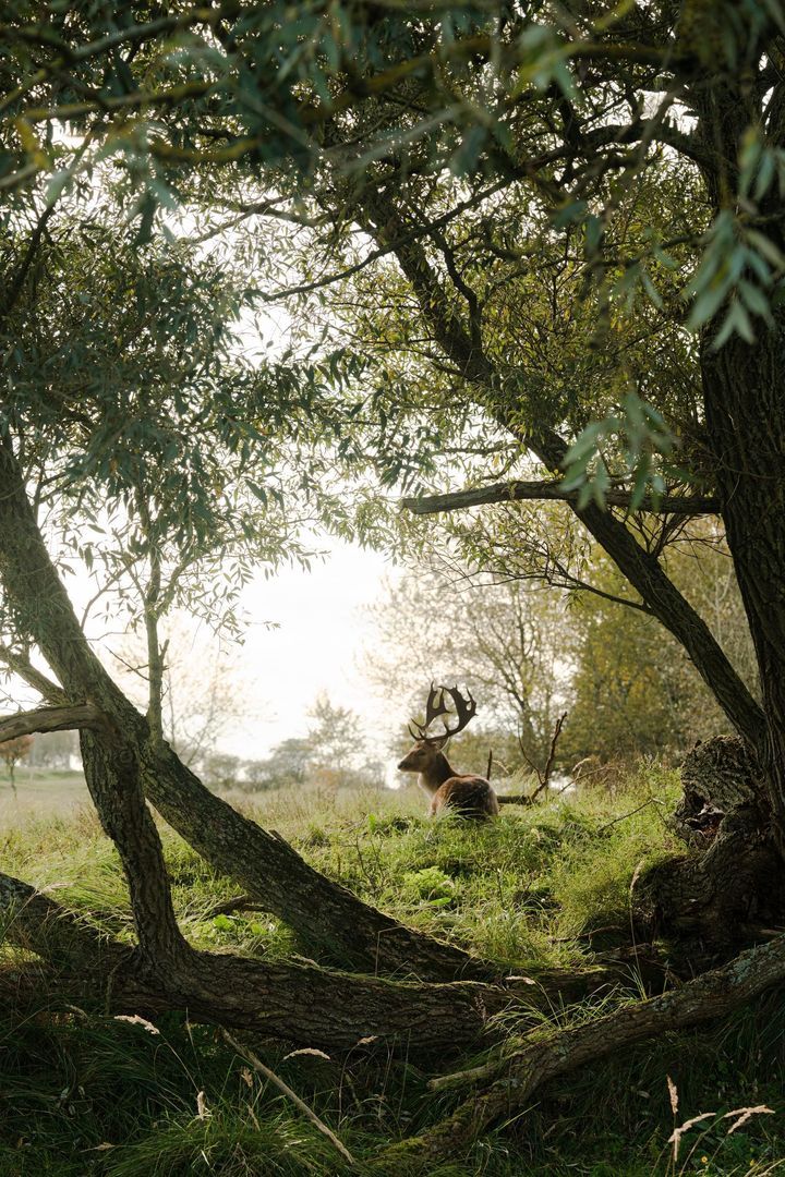 Watertorenplein T09, Zandvoort foto-18 blur