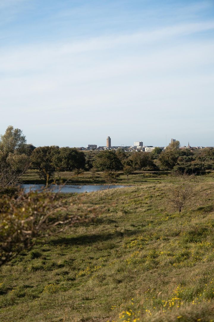 De Nieuwe Watertoren, Zandvoort foto-8