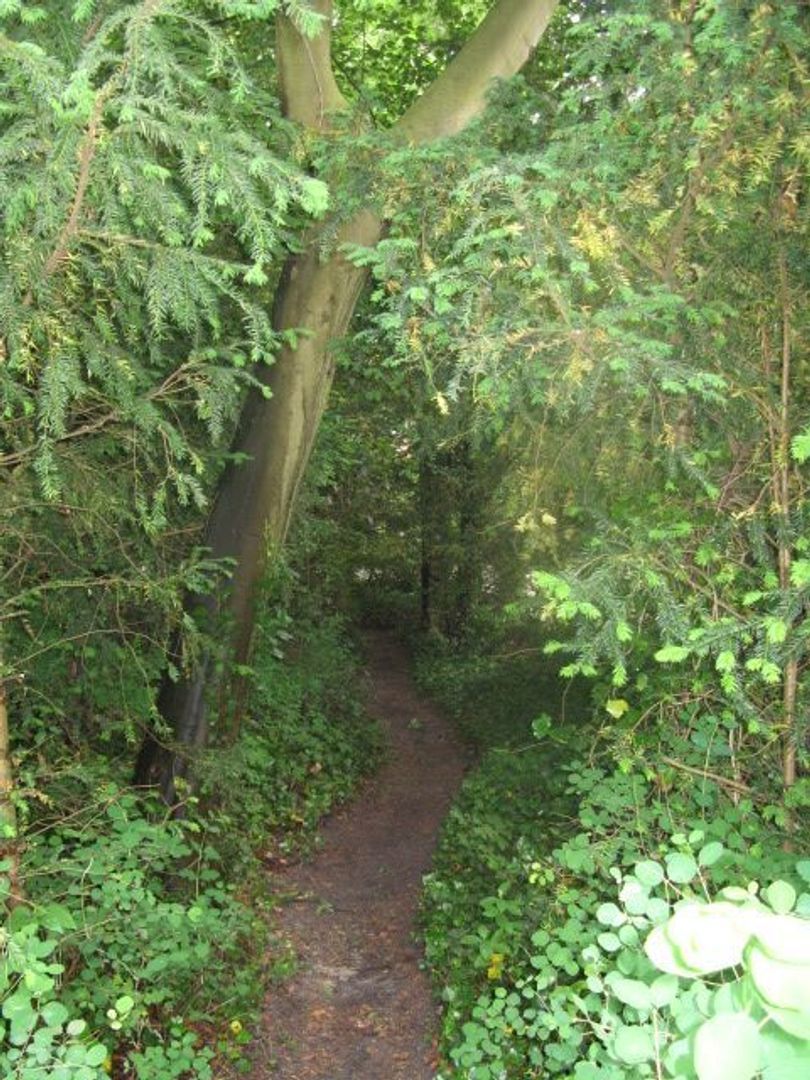 Slingerweg 5, Aerdenhout foto-9 blur