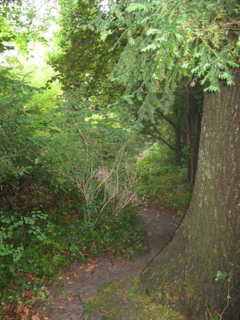Slingerweg 5, Aerdenhout foto-10 blur