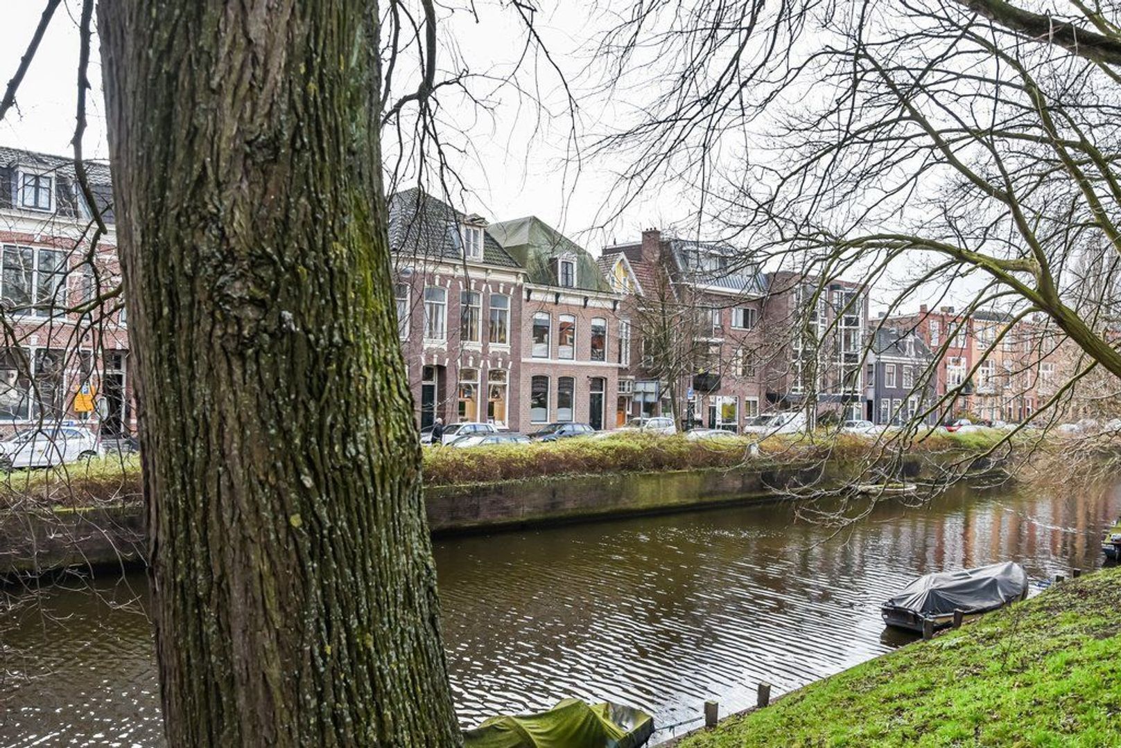 Raamsingel 34, Haarlem foto-53 blur