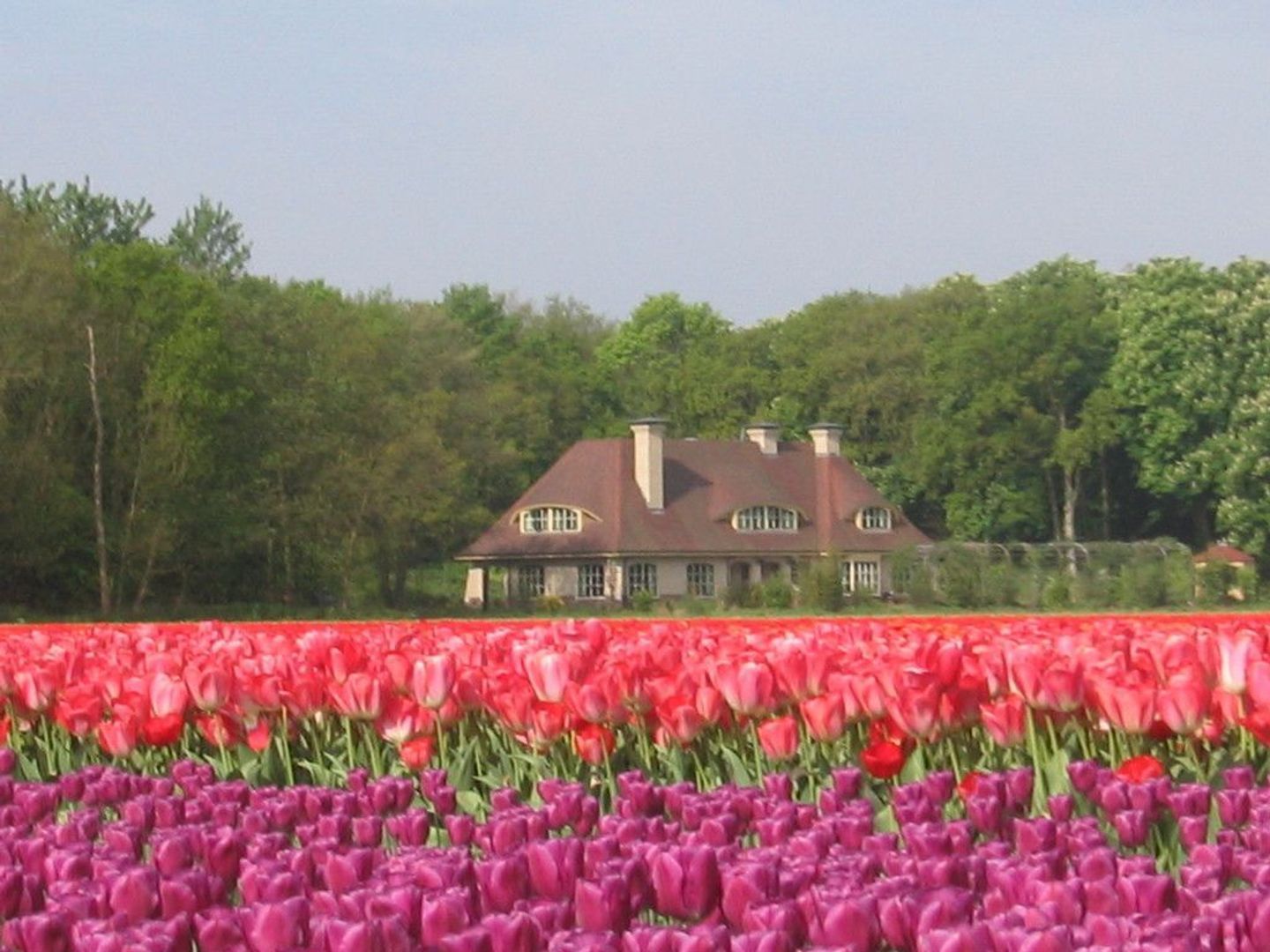 Loosterweg Zuid 14, Lisse