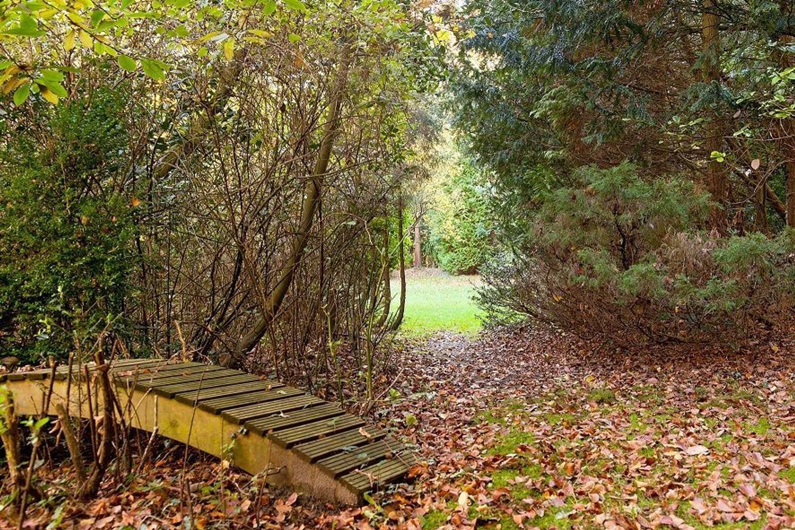 Koekoeksweg 1, Aerdenhout foto-11 blur