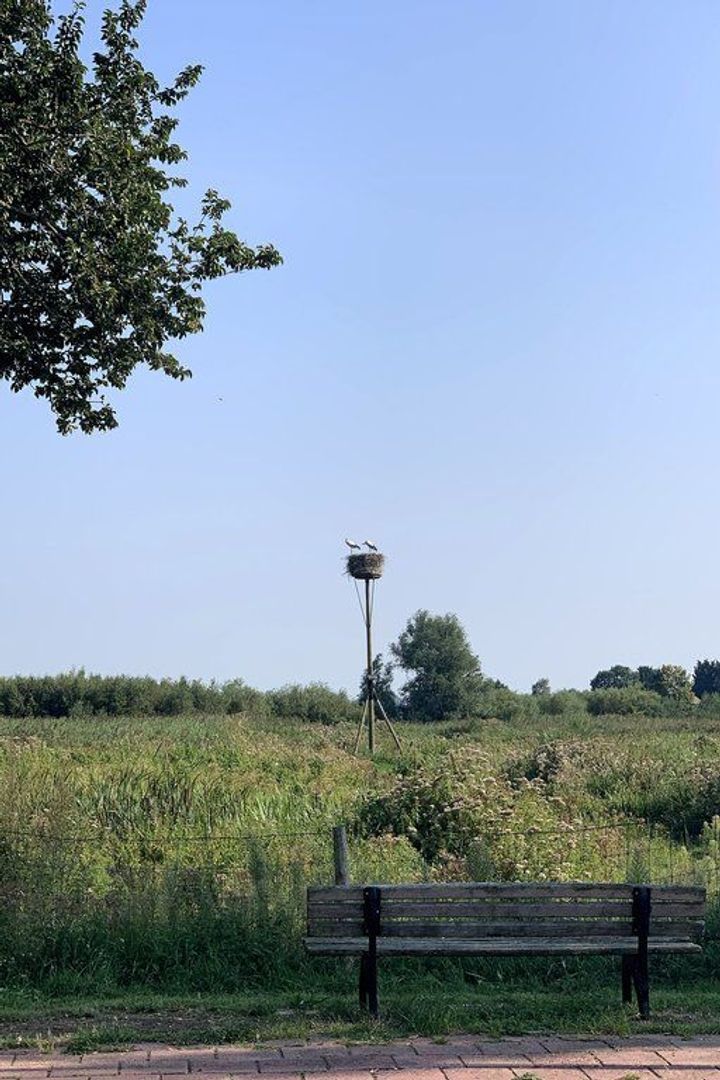 Fazantenlaan 59, Heemstede foto-16 blur