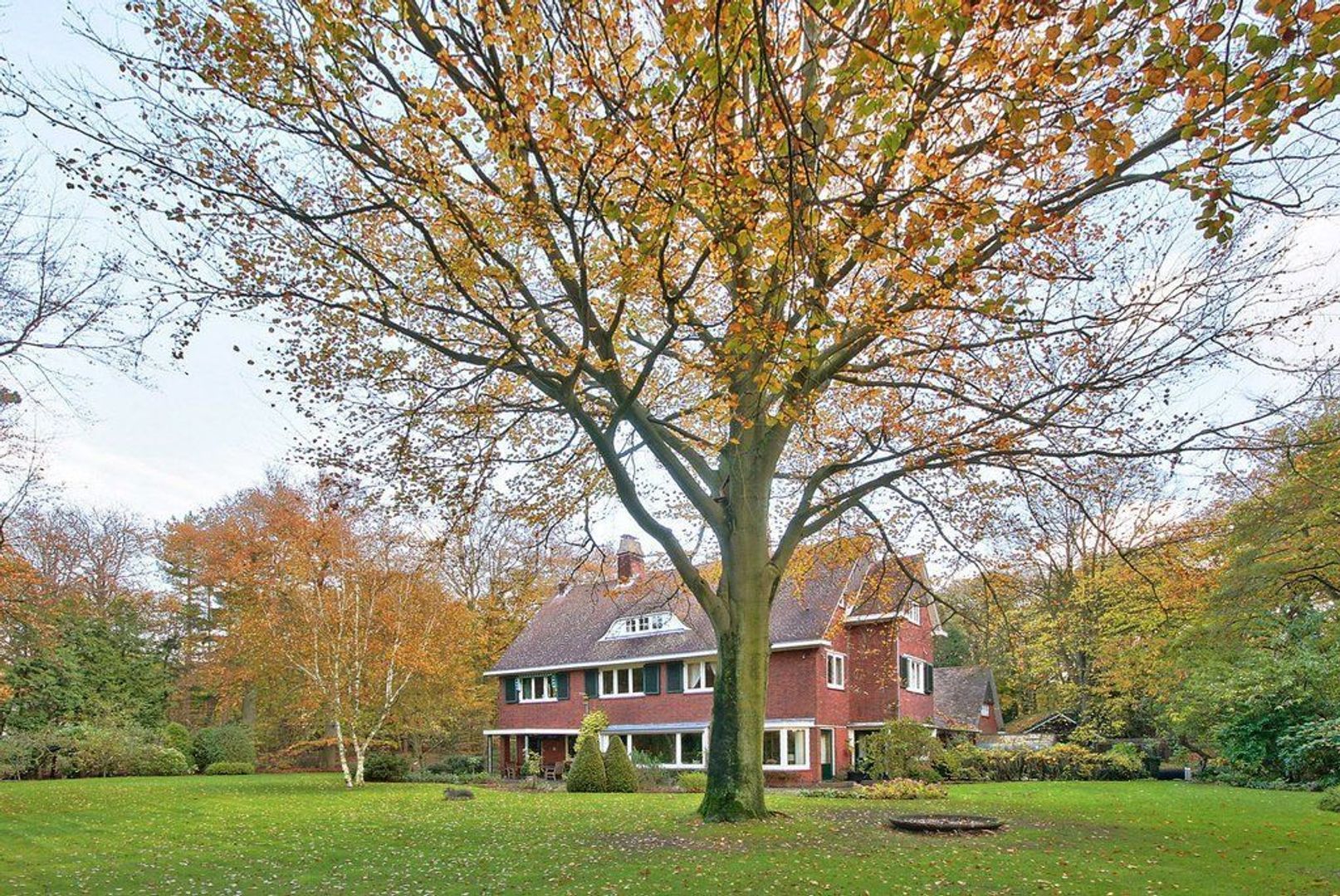 Bekslaan 36, Vogelenzang foto-28 blur