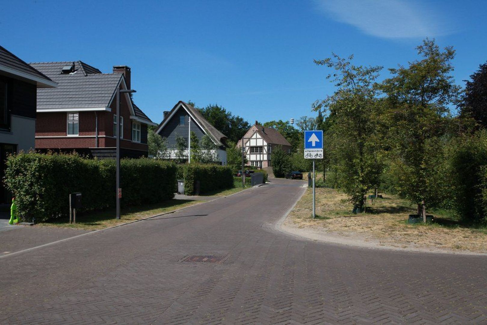Gezina van der Molenlaan 2 *, Aerdenhout foto-41 blur