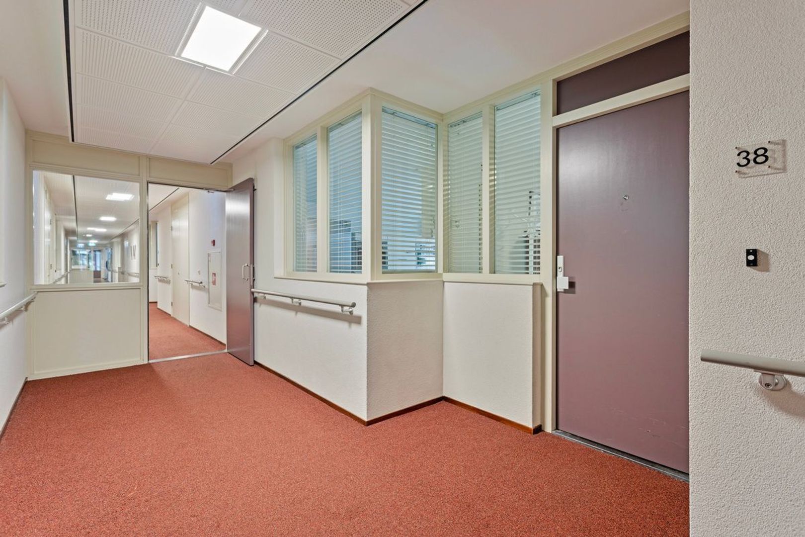 Groot hoefbladlaan 38, Bennebroek foto-8 blur