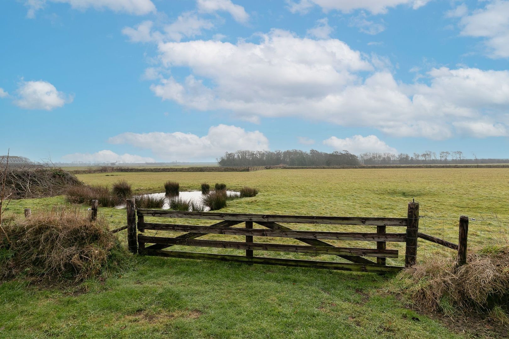 Doolhof 9, Oudeschild foto-69 blur