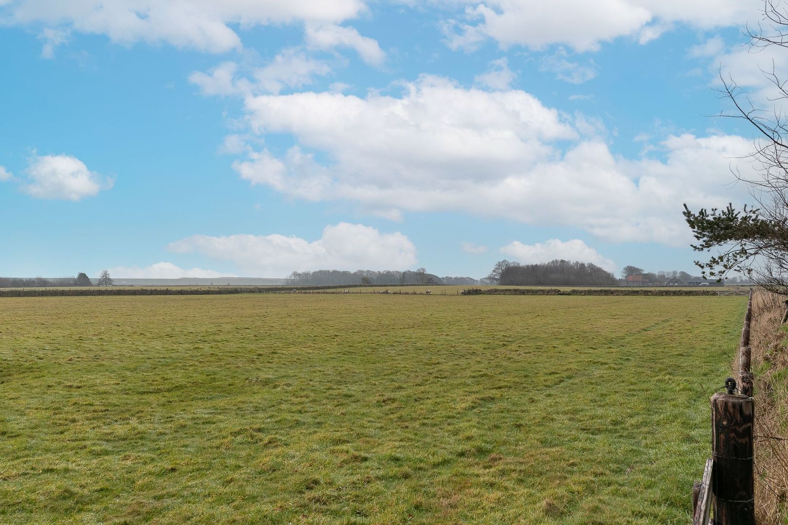 Doolhof 9, Oudeschild foto-70 blur