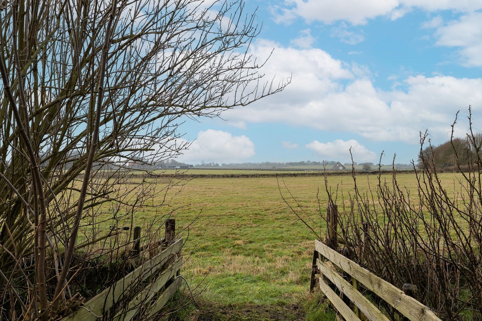 Doolhof 9, Oudeschild foto-67 blur