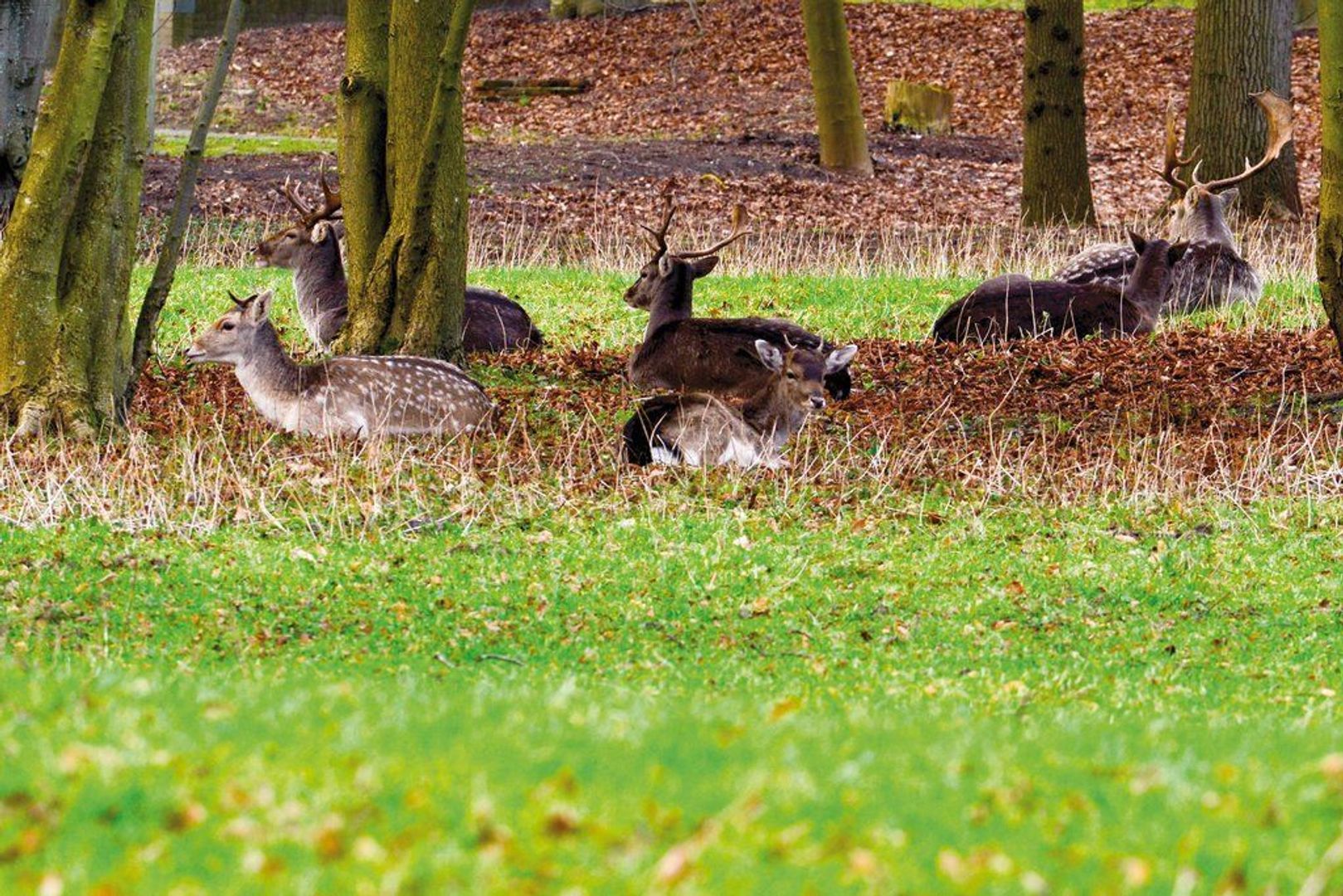 Duinlustweg 16, Overveen foto-19 blur