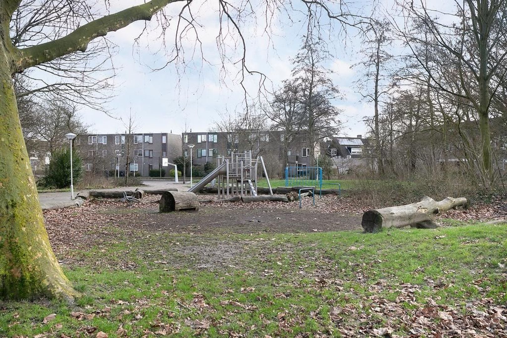 Ribespark 7, Zoetermeer foto-30 blur