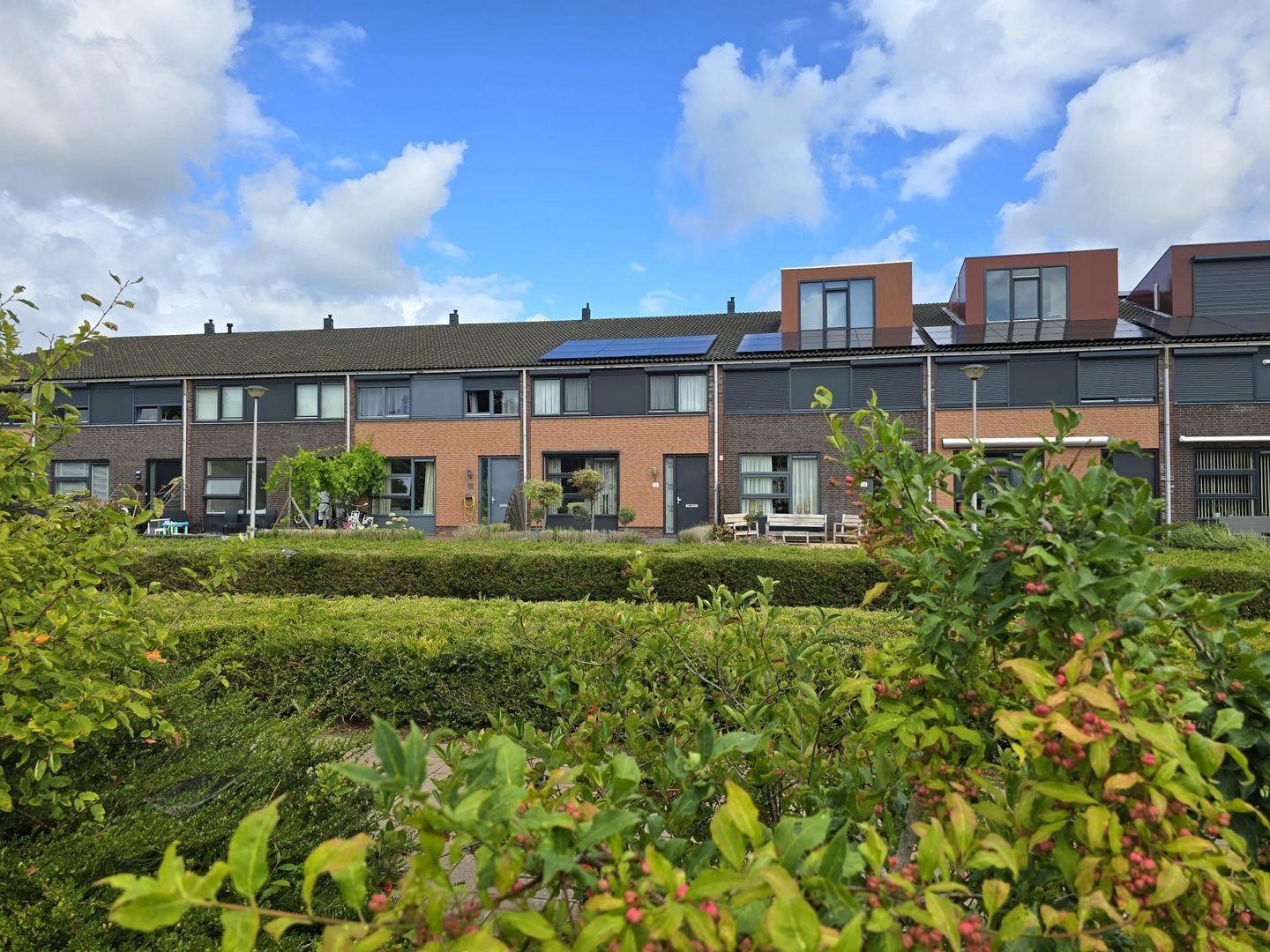 Maasdam-akker 32, Barendrecht foto-27 blur