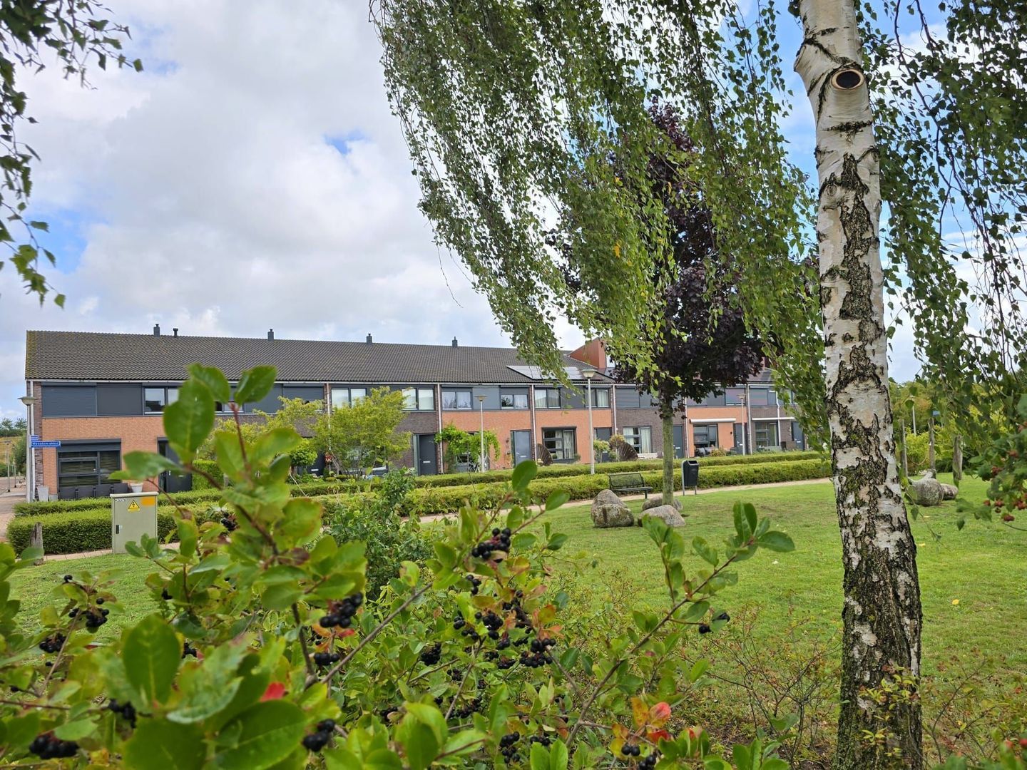 Maasdam-akker 32, Barendrecht foto-25 blur