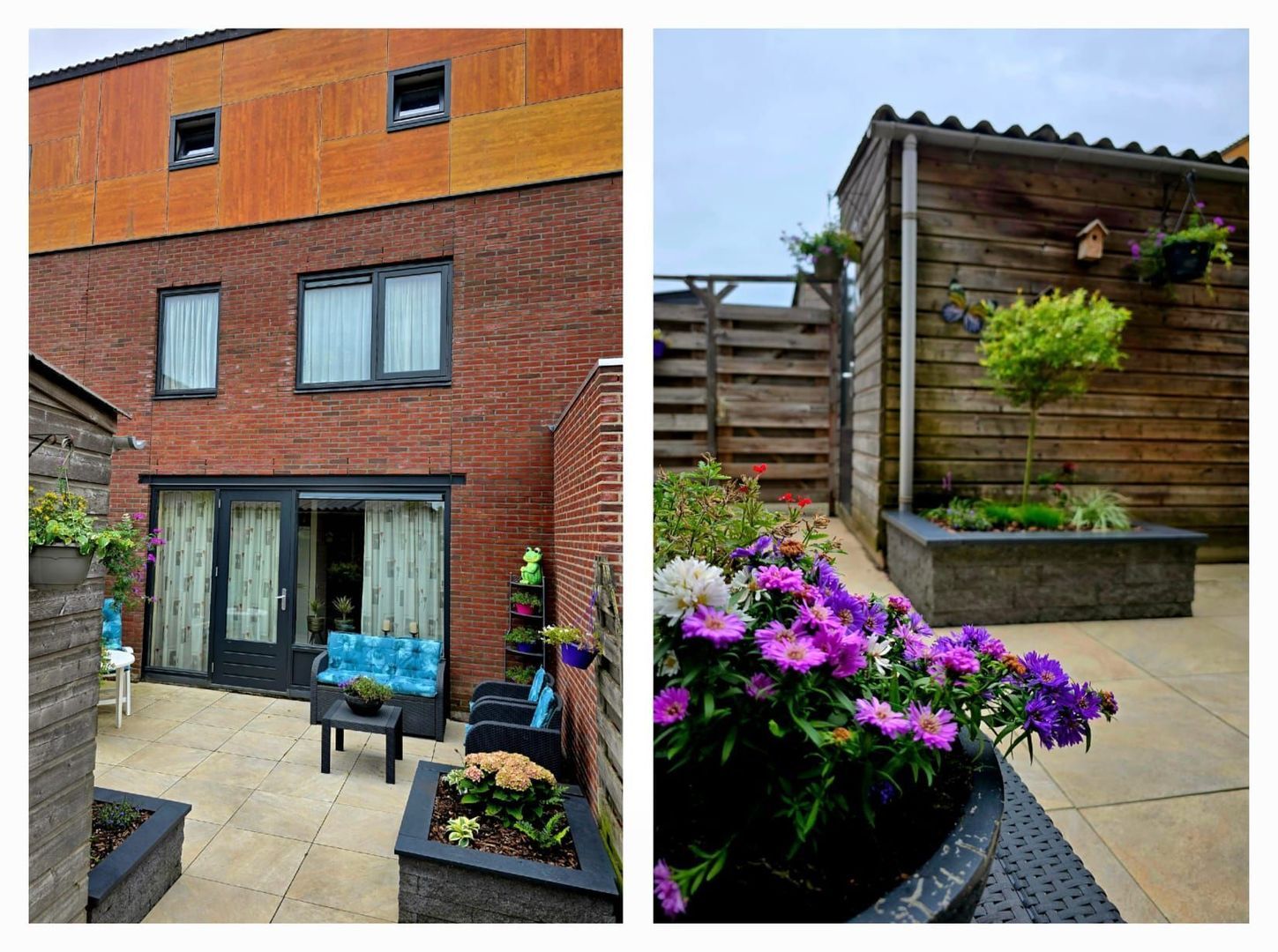 Maasdam-akker 32, Barendrecht foto-20 blur