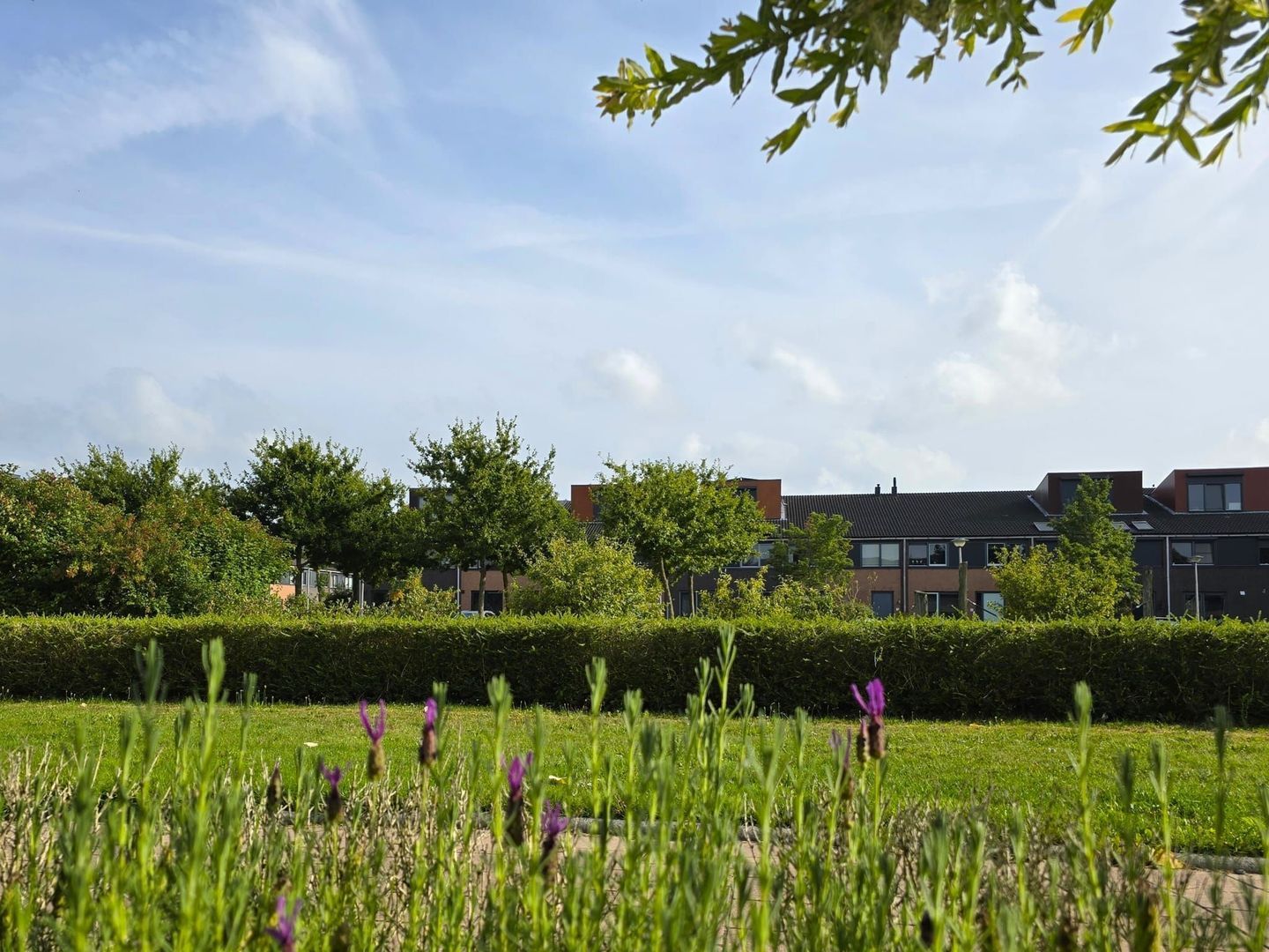 Maasdam-akker 32, Barendrecht foto-28 blur