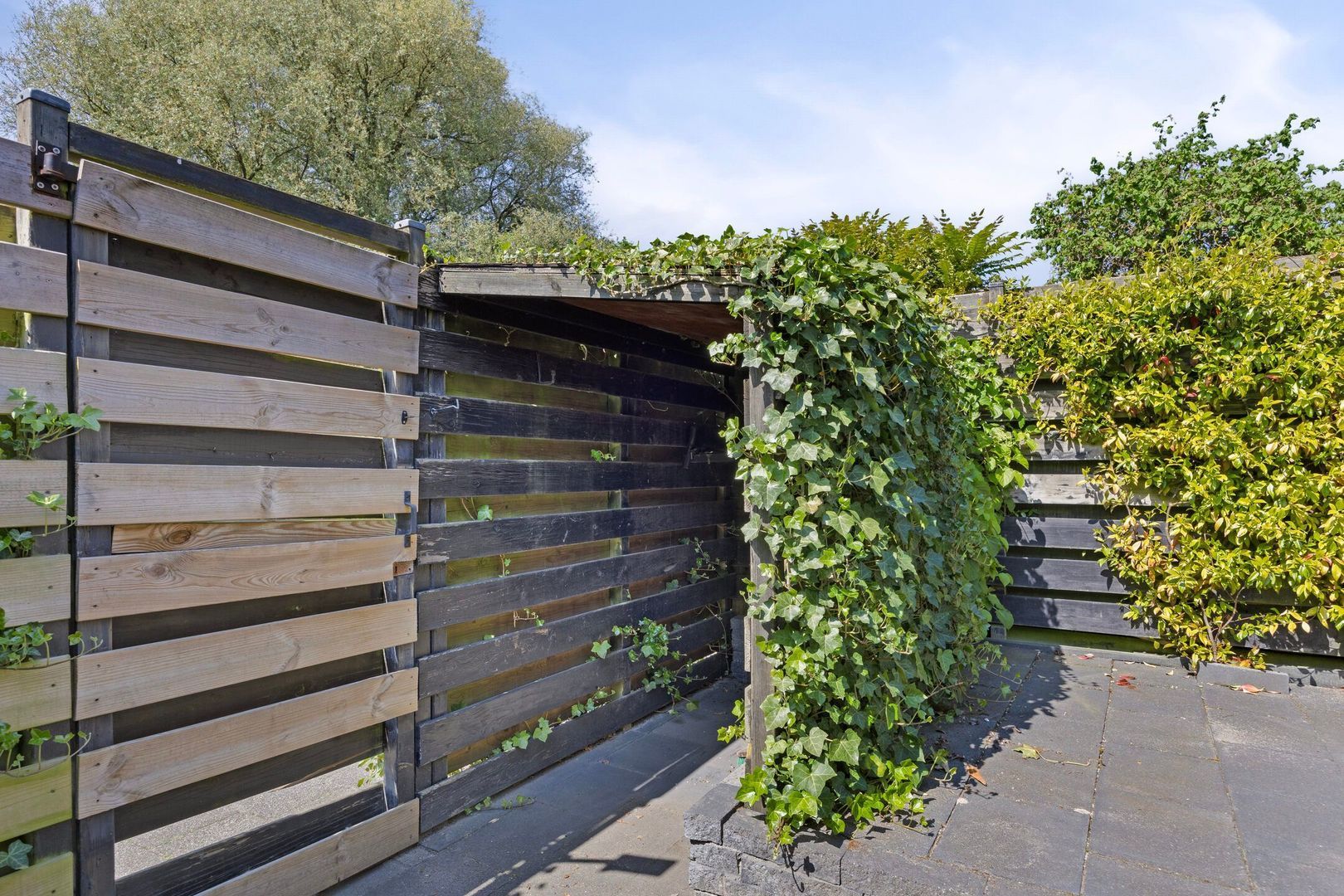 Medeaschouw 6, Zoetermeer foto-33 blur