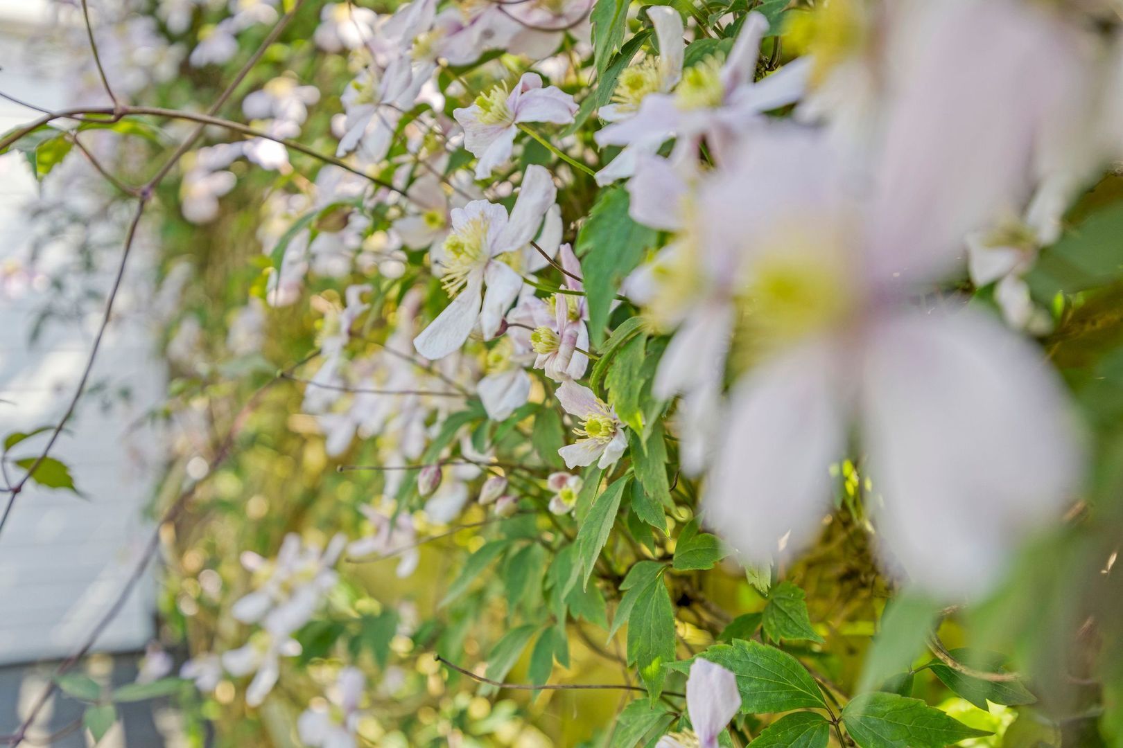 Medeaschouw 6, Zoetermeer foto-34 blur